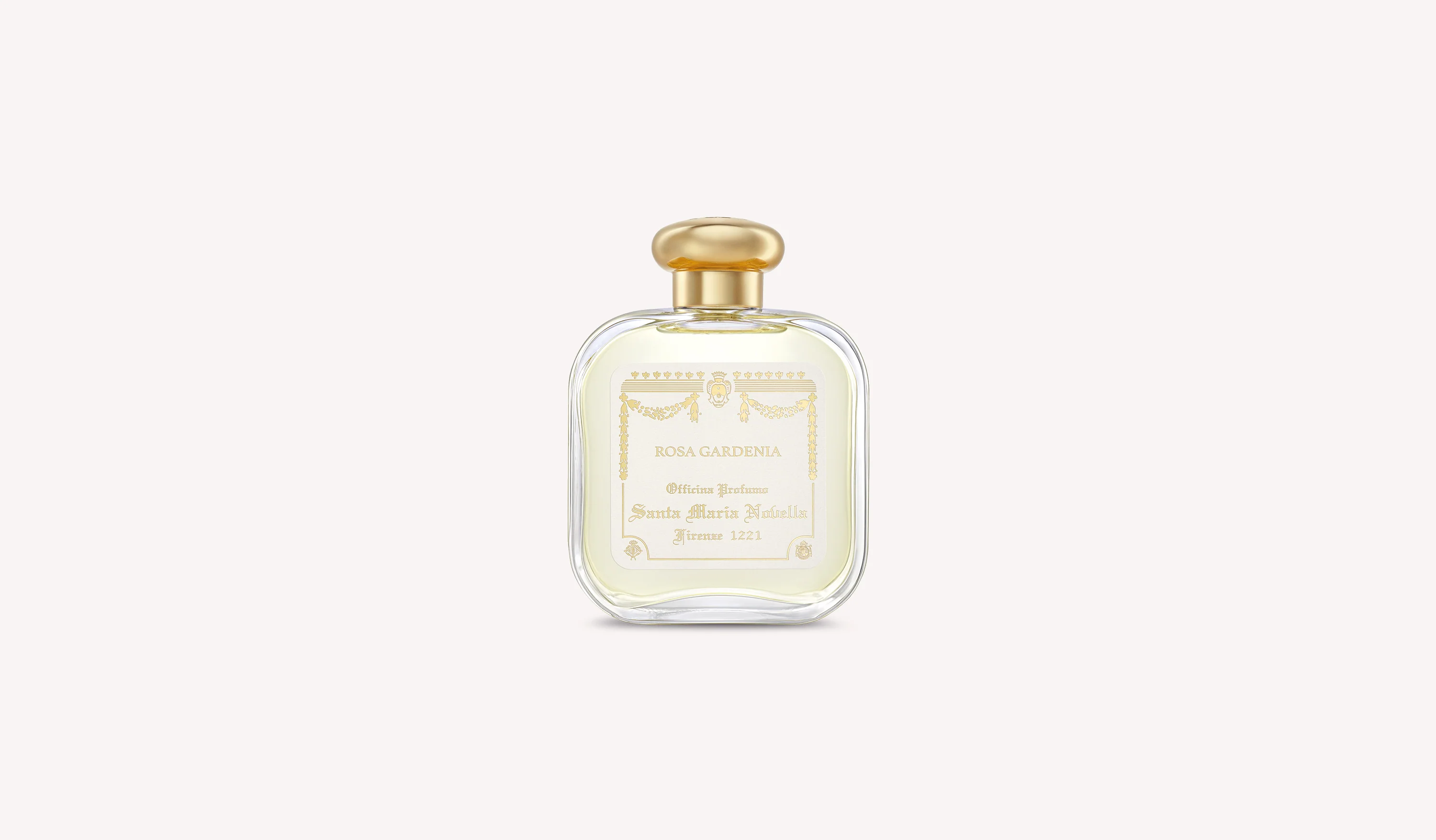 Rosa Gardenia - Image 6